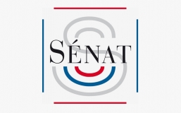 Rapport du Sénat - Régime AE